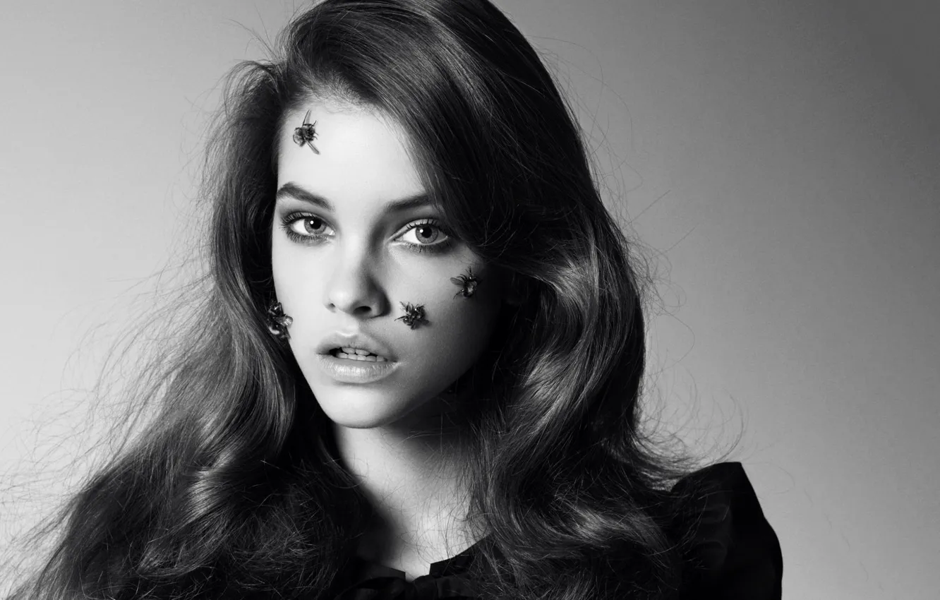 Photo wallpaper look, girl, face, model, hair, insect, black and white, brown hair