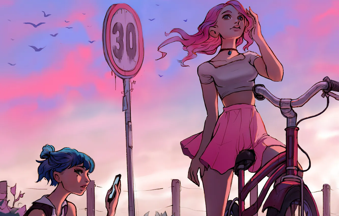 Photo wallpaper mini skirt, peer, road sign, pink top, flocks of birds, the crimson sky, the girl …