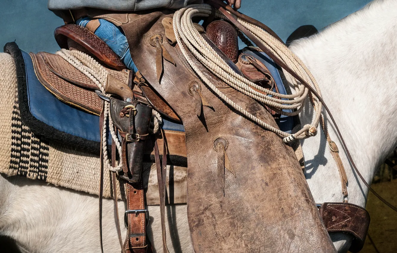 Photo wallpaper weapons, horse, saddle