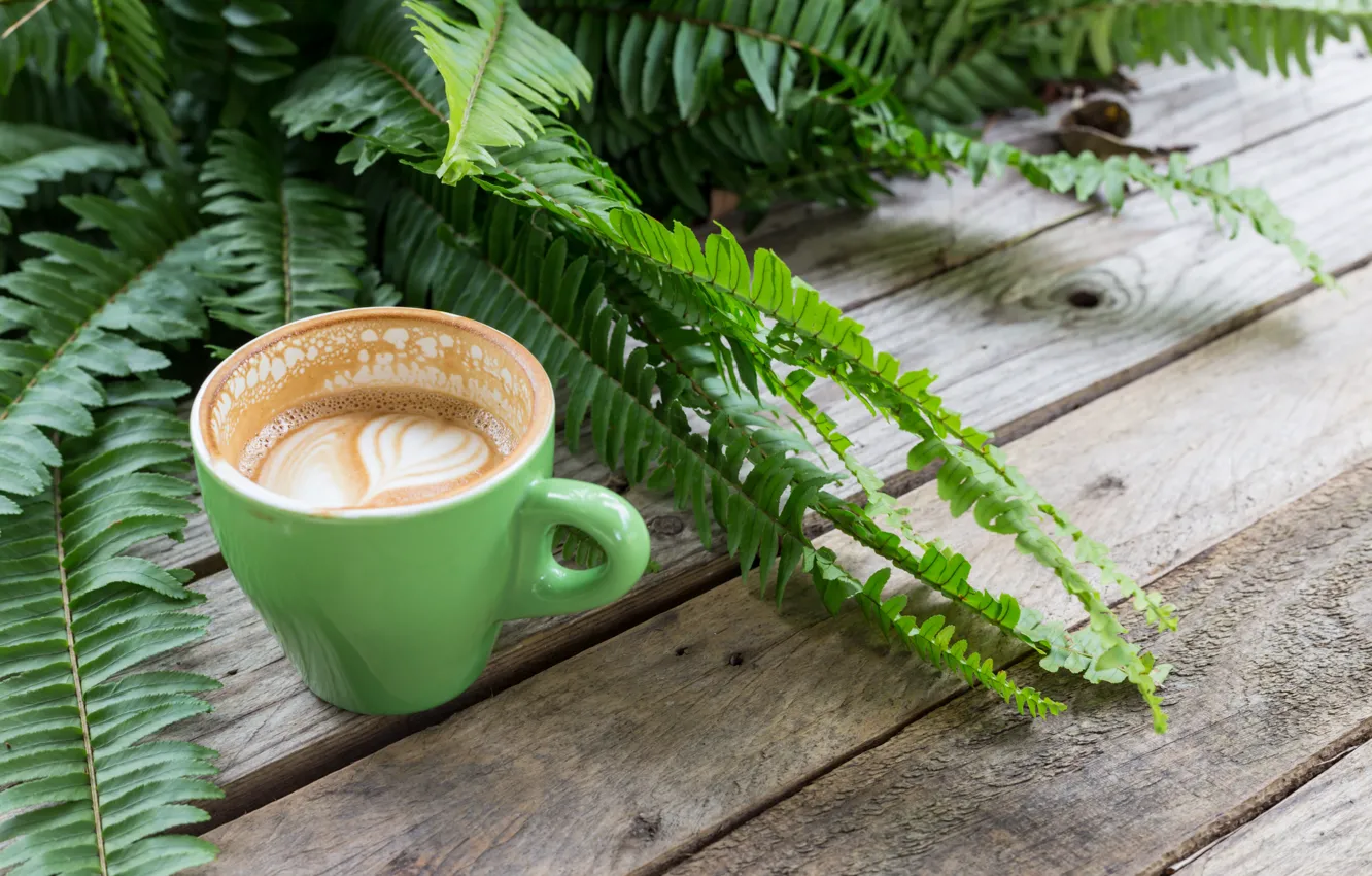 Photo wallpaper hearts, foam, capuchino, fern leaves