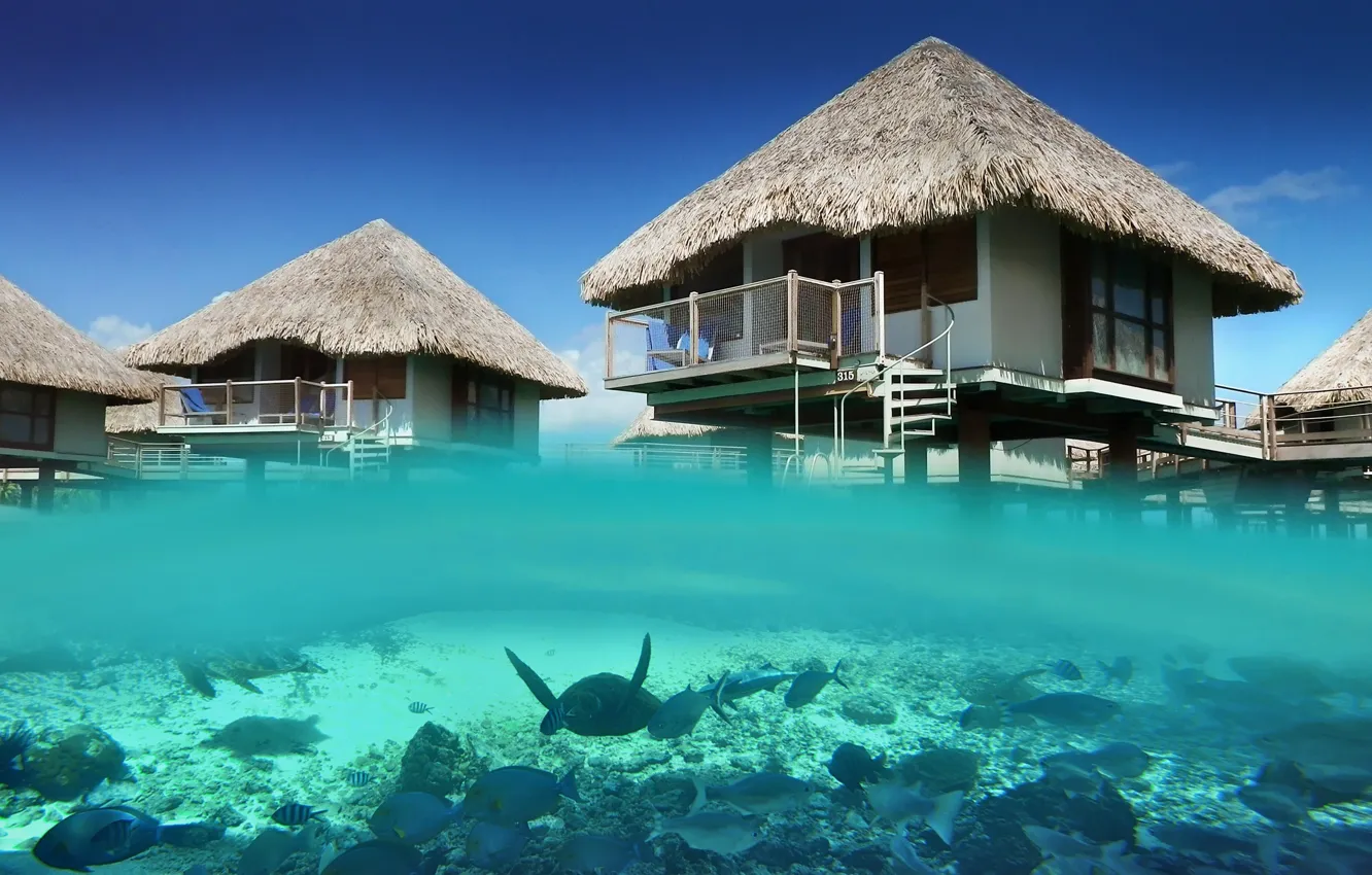 Photo wallpaper underwater, ocean, bungalow, lagoon