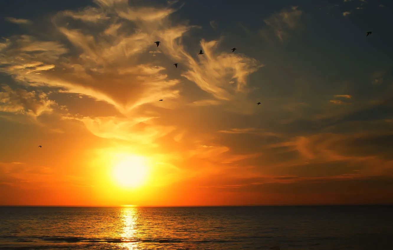 Photo wallpaper sea, clouds, sunrise, seagulls, horizon