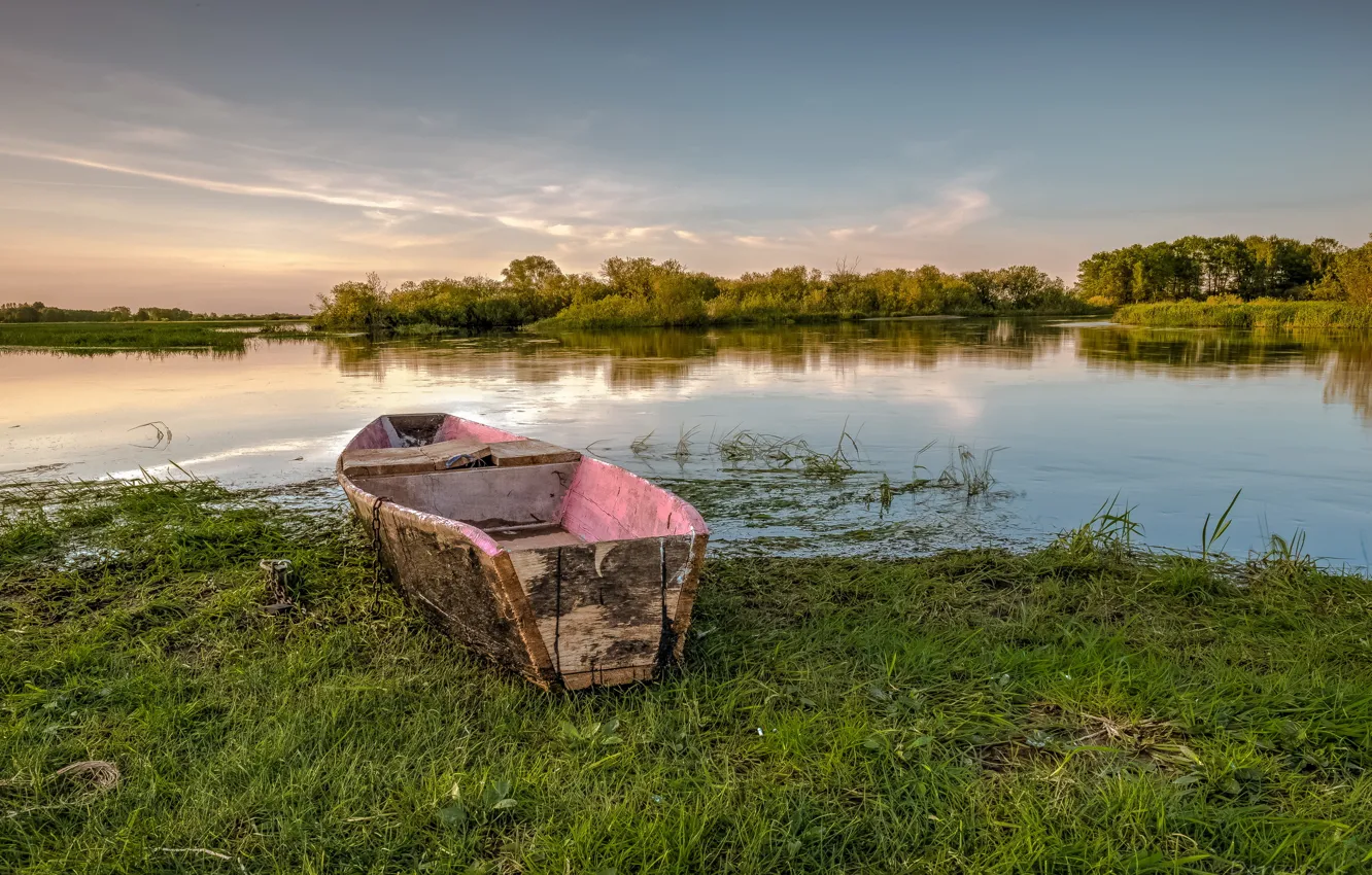 Photo wallpaper forest, lake, boat, Poland, The Biebrza National Park