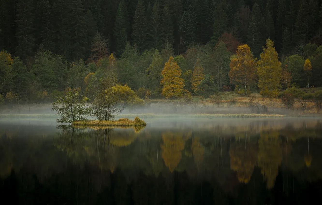 Photo wallpaper autumn, trees, nature, river