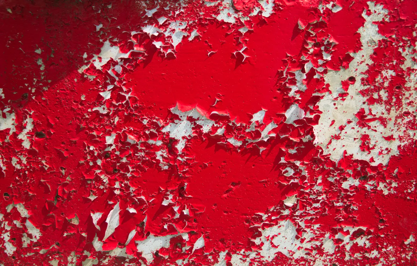 Photo wallpaper background, wall, paint