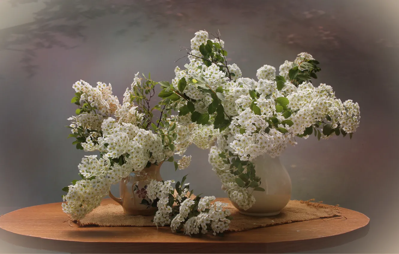 Photo wallpaper flowers, spring, still life, Spiraea