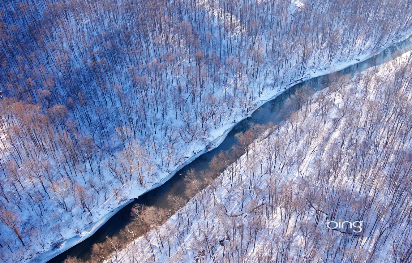 Photo wallpaper winter, forest, snow, river, USA, Virginia