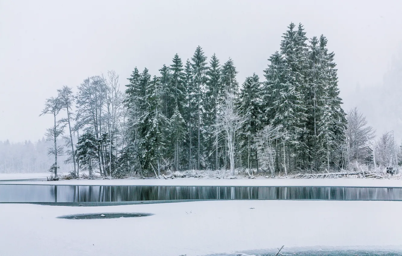 Photo wallpaper winter, forest, river