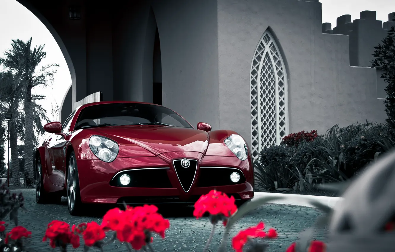 Photo wallpaper Alfa Romeo, flowers, Competition