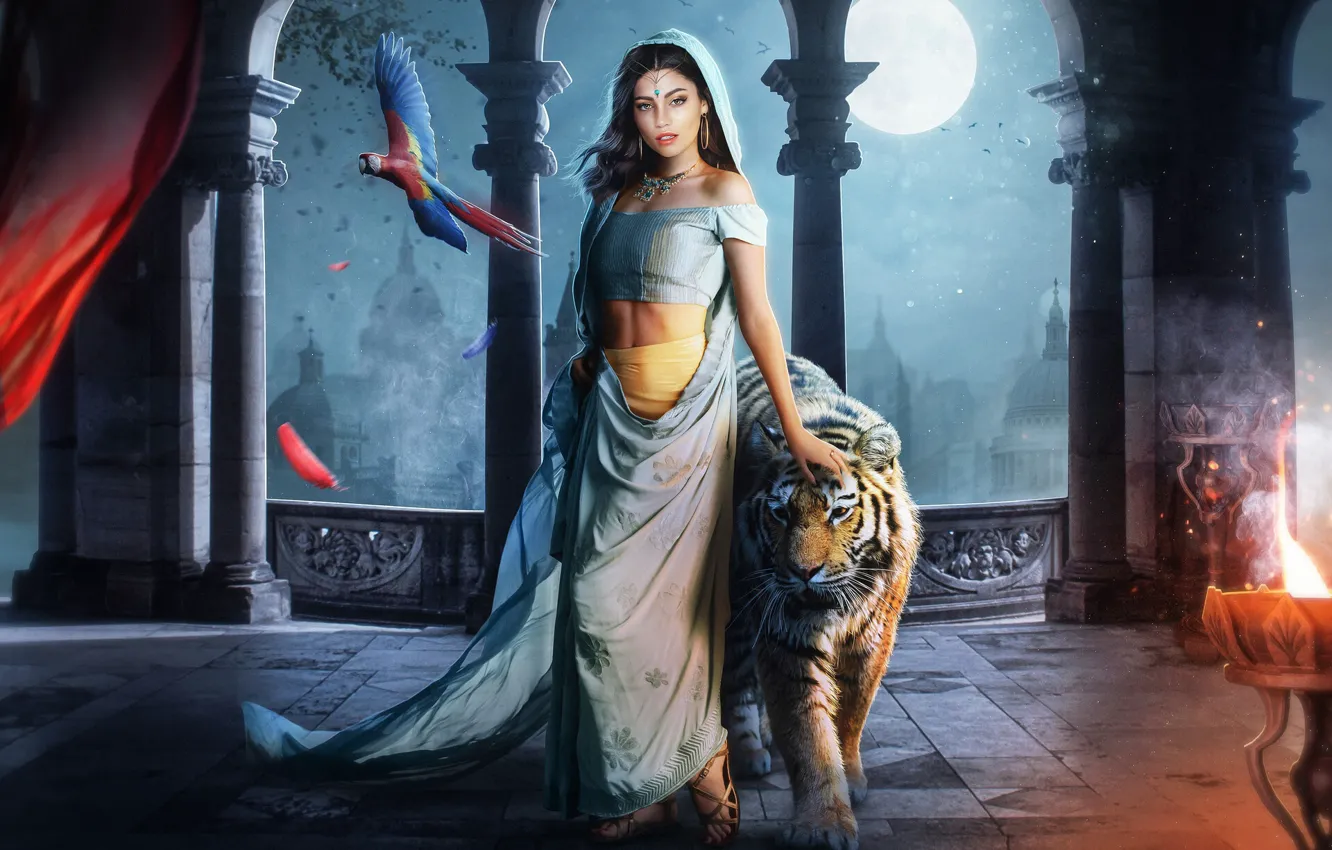 Photo wallpaper Girl, Tiger, The moon, Fantasy, Art, Art, Jasmine, Aladdin