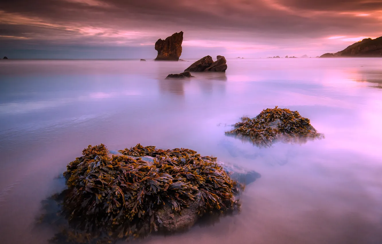 Photo wallpaper sea, landscape, sunset, rocks