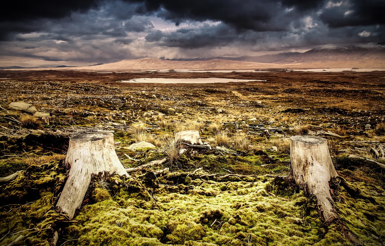 Photo wallpaper field, the sky, landscape, nature