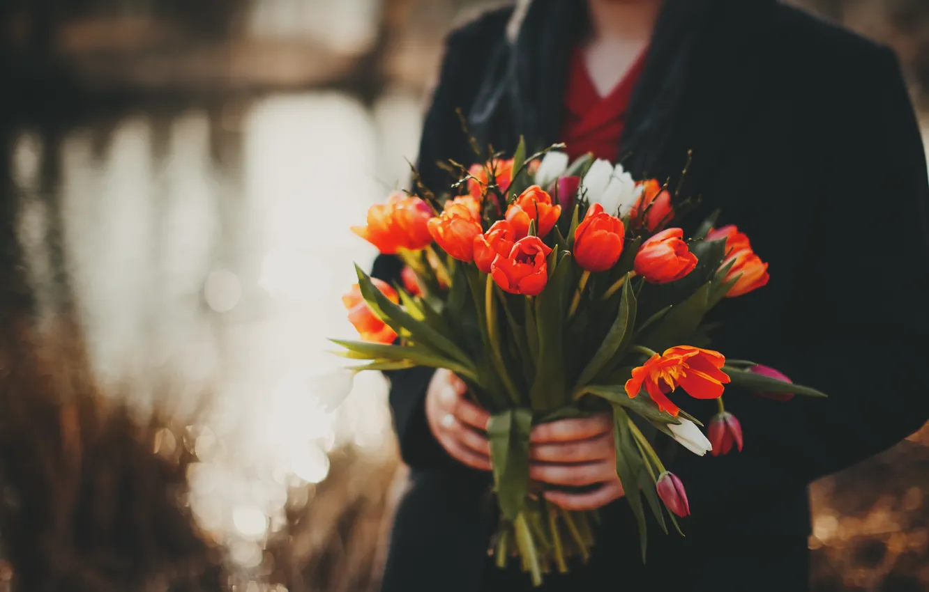 Photo wallpaper flowers, bouquet, tulips