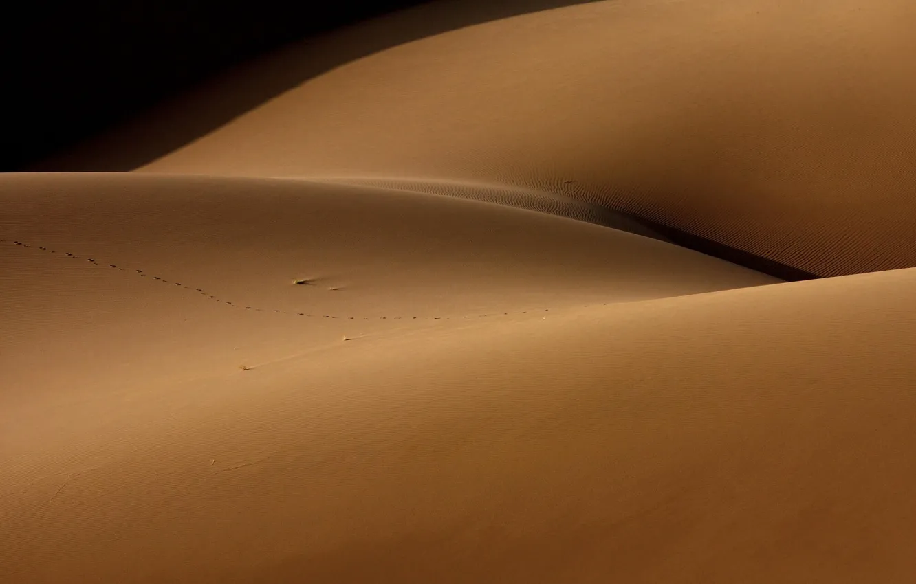 Photo wallpaper sand, desert, Desert and the human torso