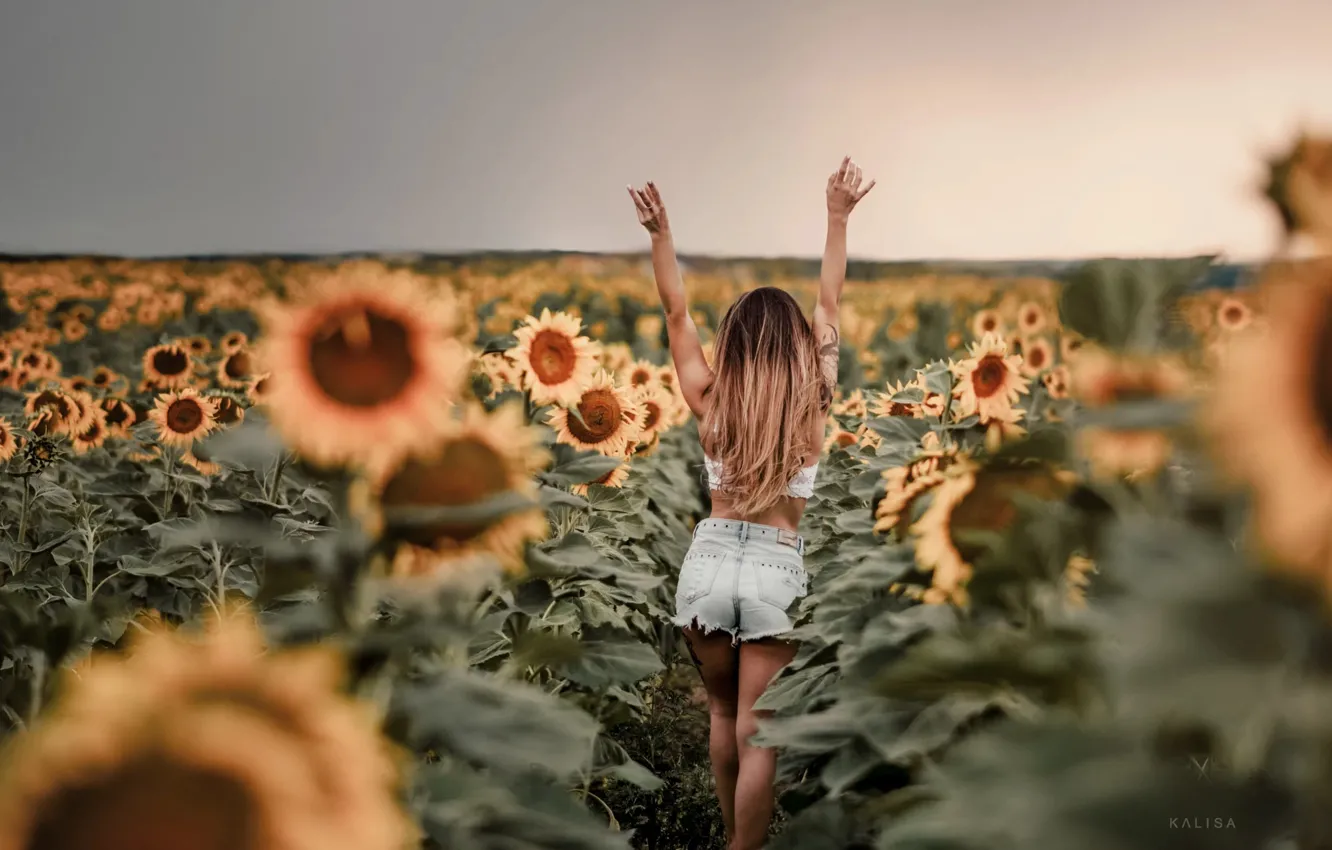 Photo wallpaper ass, girl, sunflowers, hair, shorts, Kalisa Marcenco