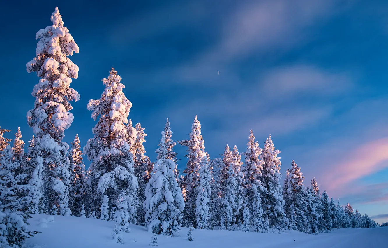 Photo wallpaper winter, road, forest, the sky, snow, trees, ate, Finland