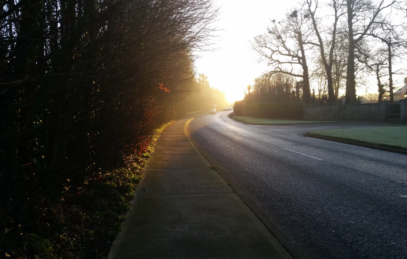 Photo wallpaper road, the sun, nature, morning, Ireland, February, clone, frosty morning