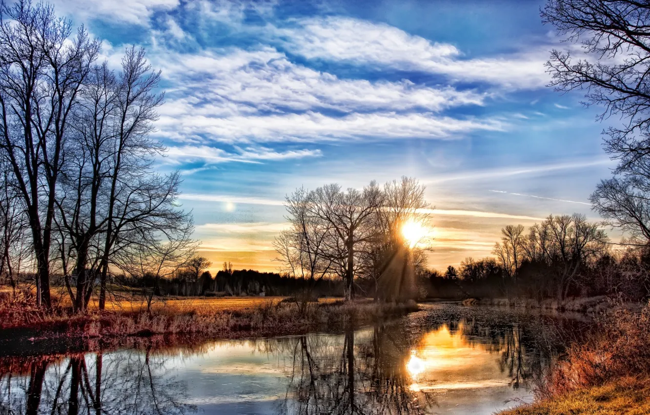 Photo wallpaper trees, sunset, river, shore, spring