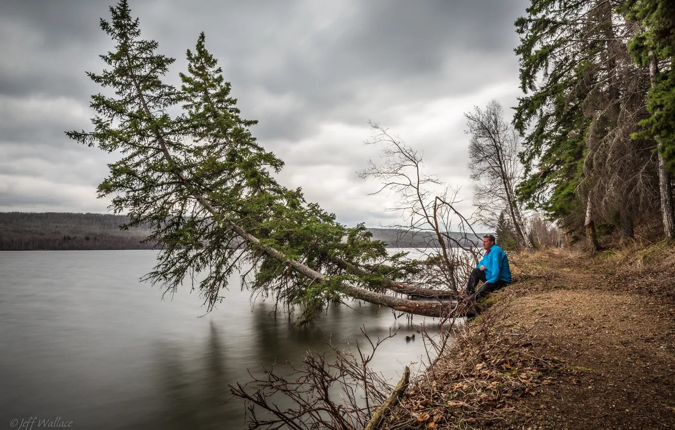 Photo wallpaper trees, nature, river, Jeff Wallace
