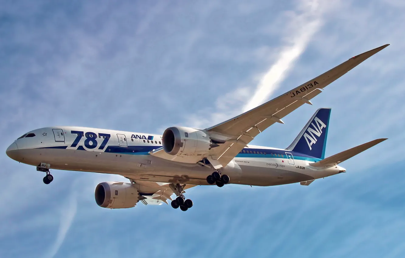 Photo wallpaper the sky, aviation, the plane, Boeing 787