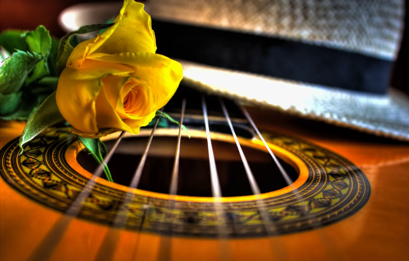 Photo wallpaper macro, rose, guitar