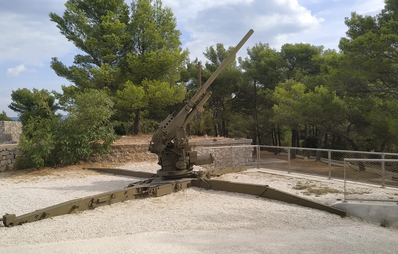 Photo wallpaper gun, weapon, Toulon