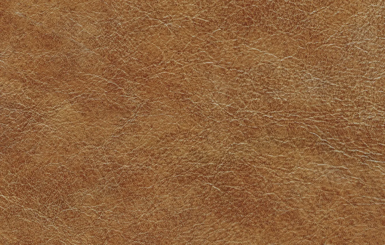 Photo wallpaper leather, texture, leather, skin
