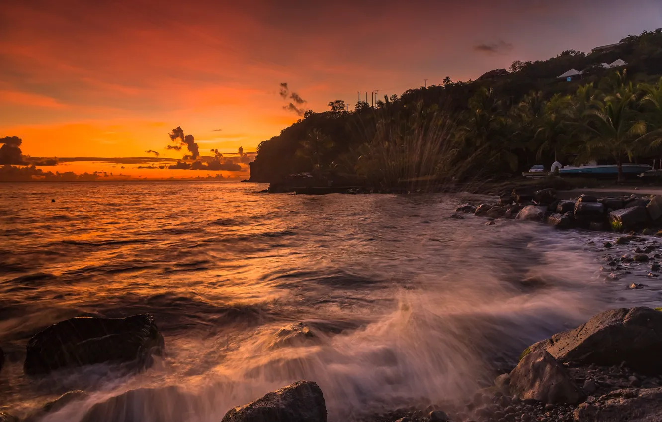 Photo wallpaper stones, palm trees, shore, sea, the sky, horizon, clouds, sunset