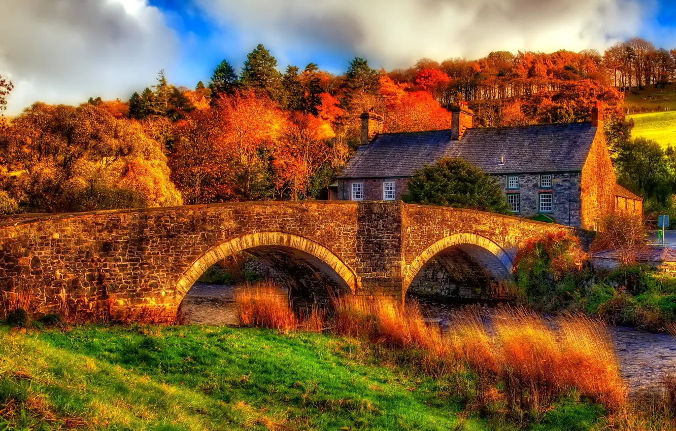 Photo wallpaper autumn, the sky, grass, trees, bridge, house, river, slope