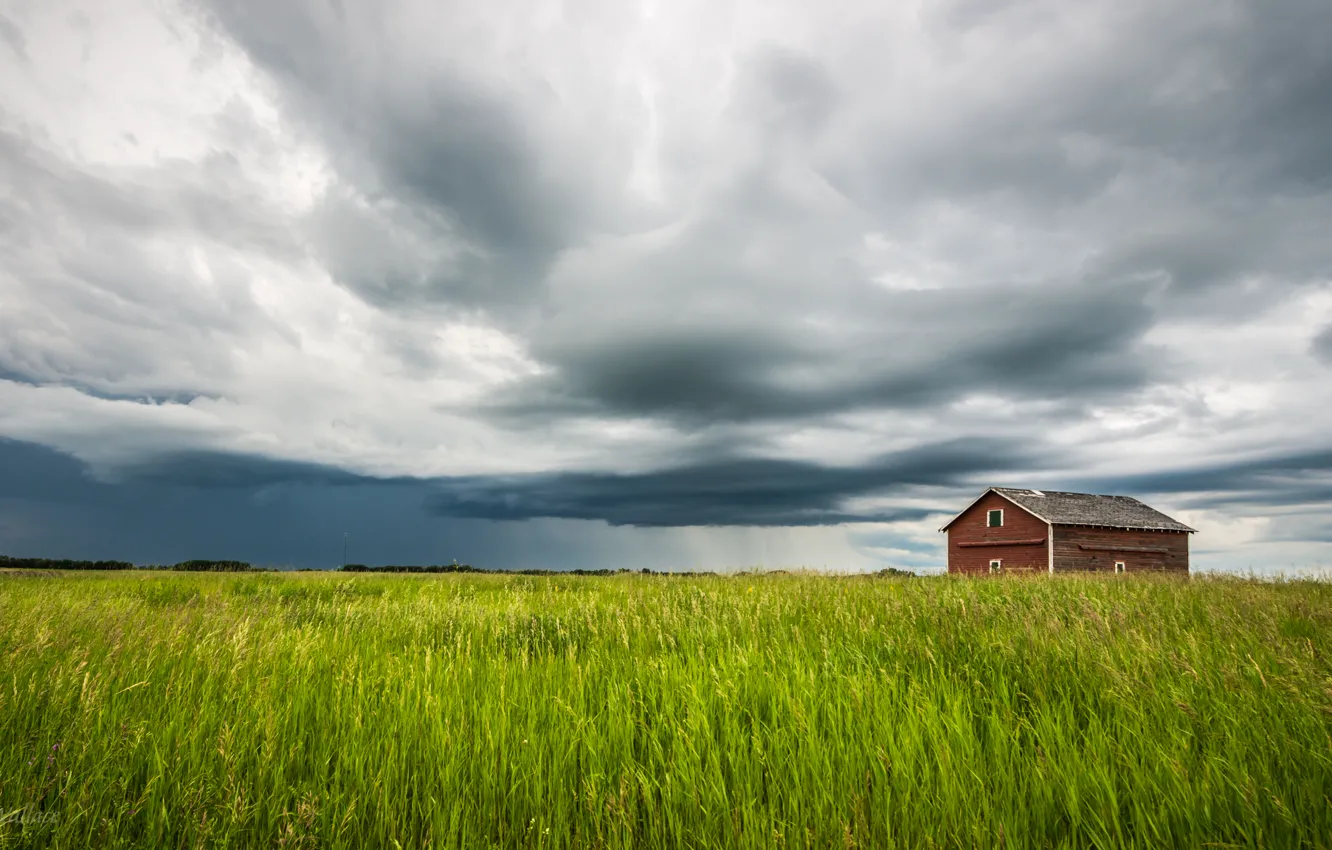 Wallpaper grass, house, Nature images for desktop, section природа