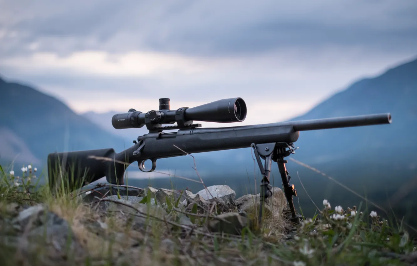 Photo wallpaper optics, rifle, sniper, fry, Remington 700
