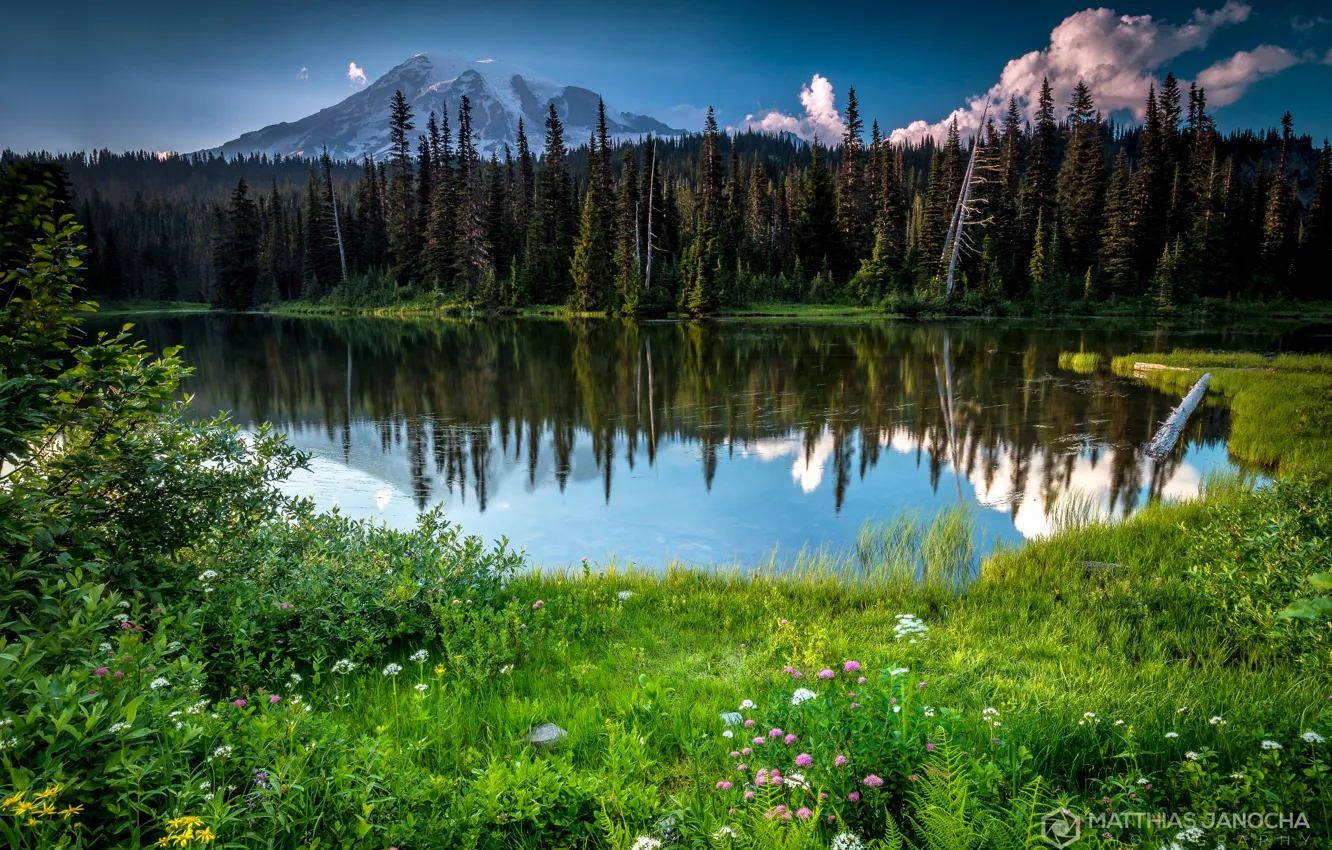 Photo wallpaper forest, summer, flowers, lake, mountain, Washington, USA, state