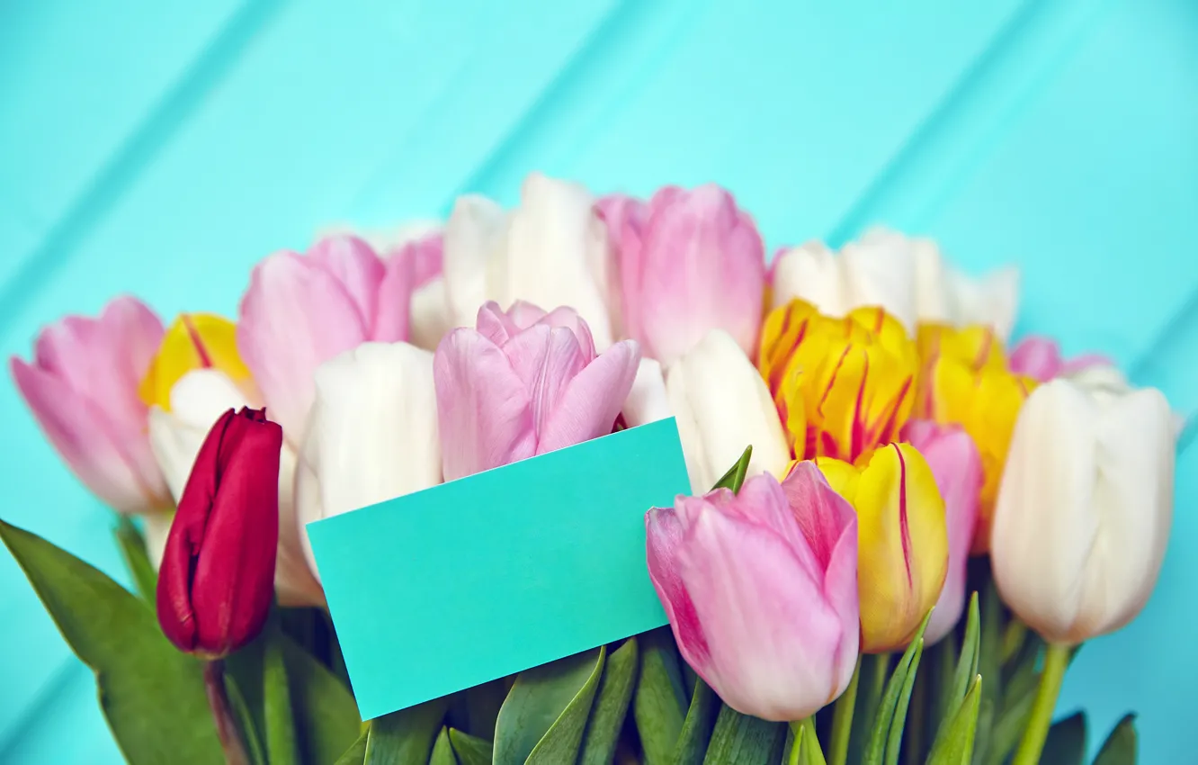 Photo wallpaper flowers, bouquet, spring, colorful, tulips, fresh, pink, flowers
