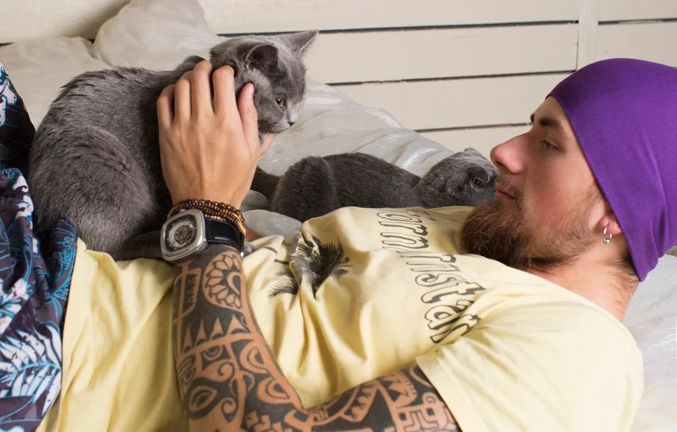 Photo wallpaper cat, tattoo, photographer, Alexander MAVRIDI