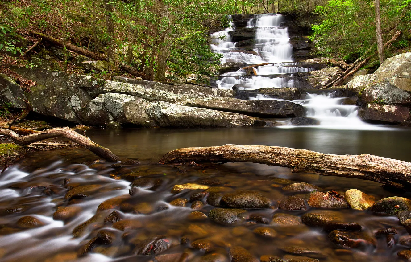 Photo wallpaper forest, river, stones, waterfall, Georgia, Chatsworth, Emery Creek Trail