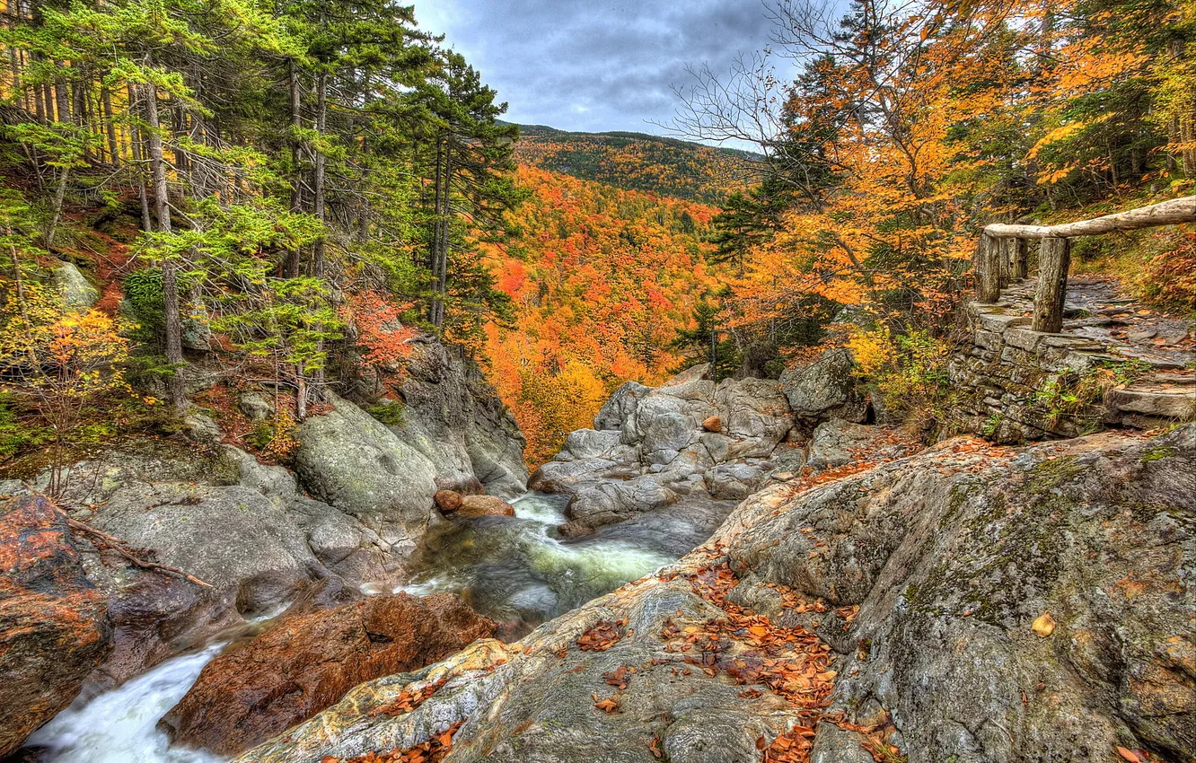 Photo wallpaper autumn, forest, landscape, nature, stones, photo, HDR, USA