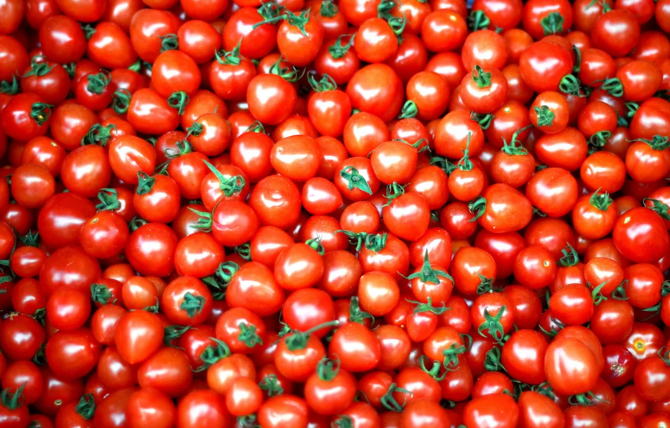 Photo wallpaper red, vegetables, tomatoes, tomatoes