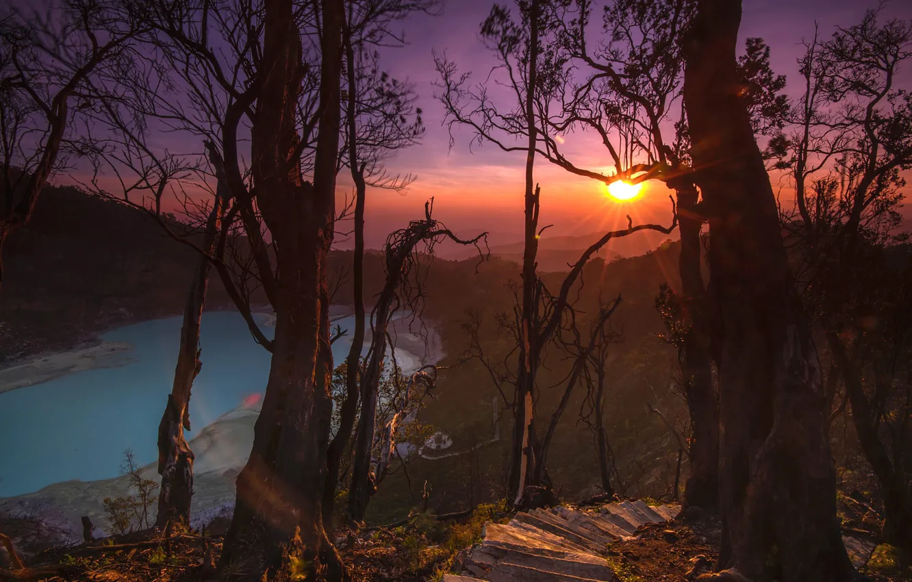 Photo wallpaper the sky, the sun, rays, light, trees, sunset, mountains, branches