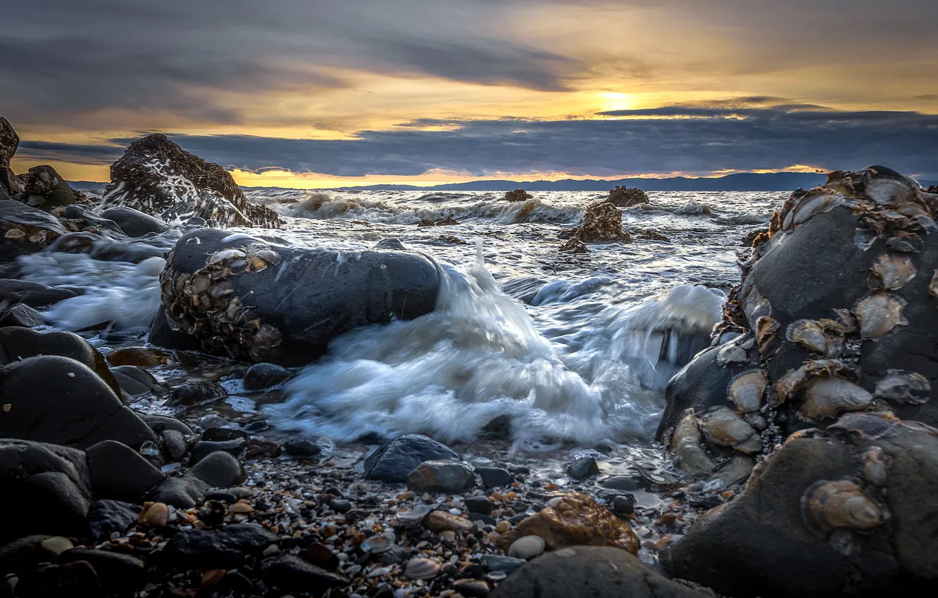 Photo wallpaper sea, wave, sunset, stones, Marina