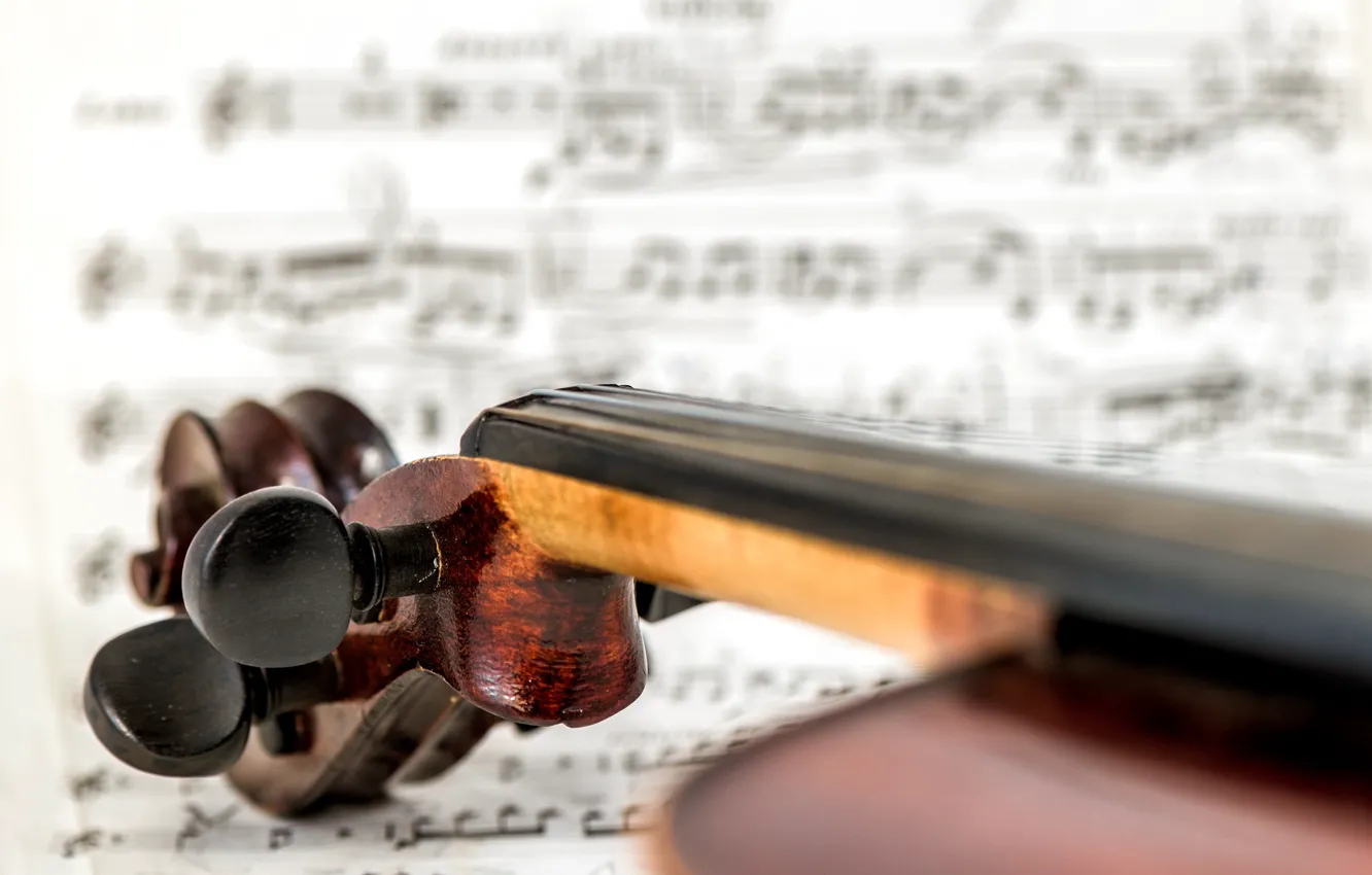 Photo wallpaper macro, background, violin