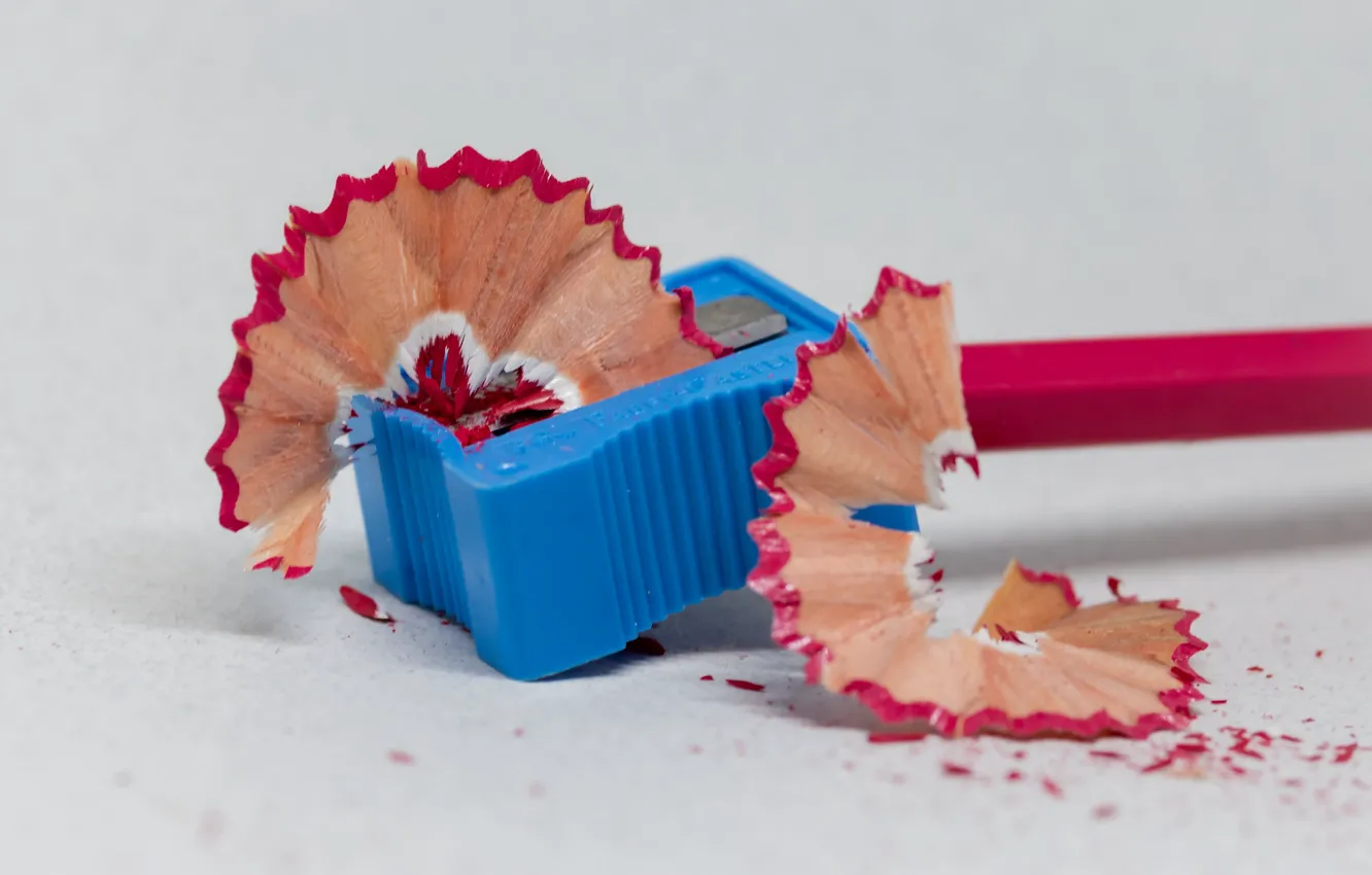 Photo wallpaper pencils, sharpener, Fleur Walton, red pencil