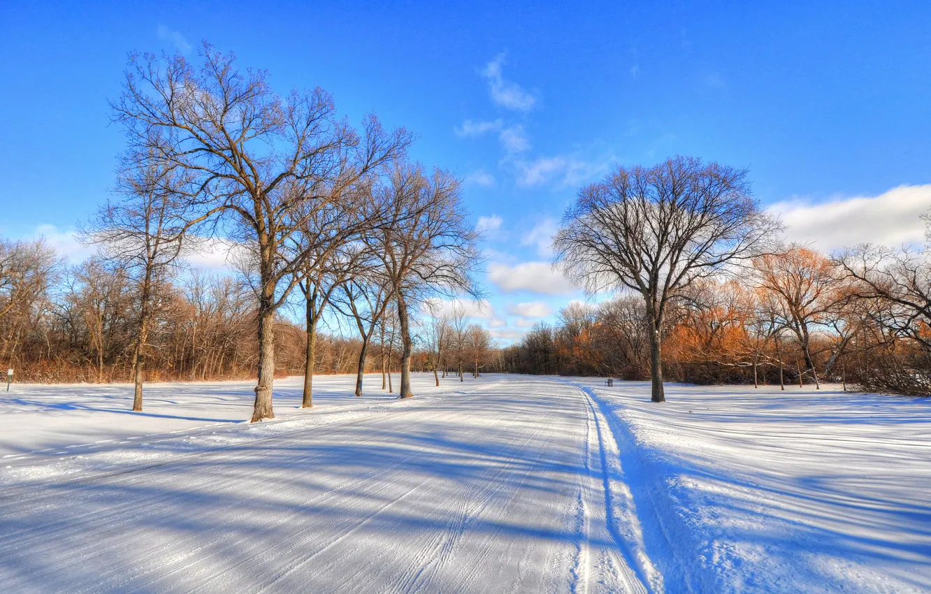 Photo wallpaper winter, road, the sky, clouds, snow, trees, landscape, frost