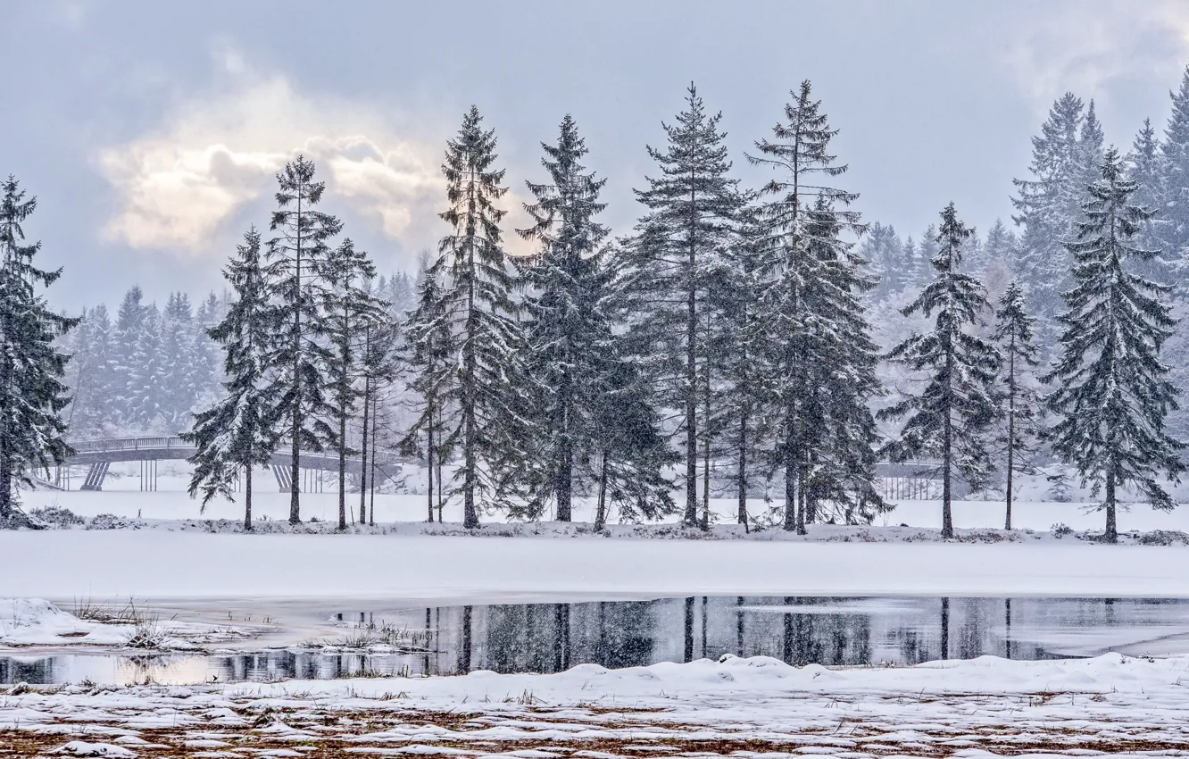 Photo wallpaper winter, snow, Park