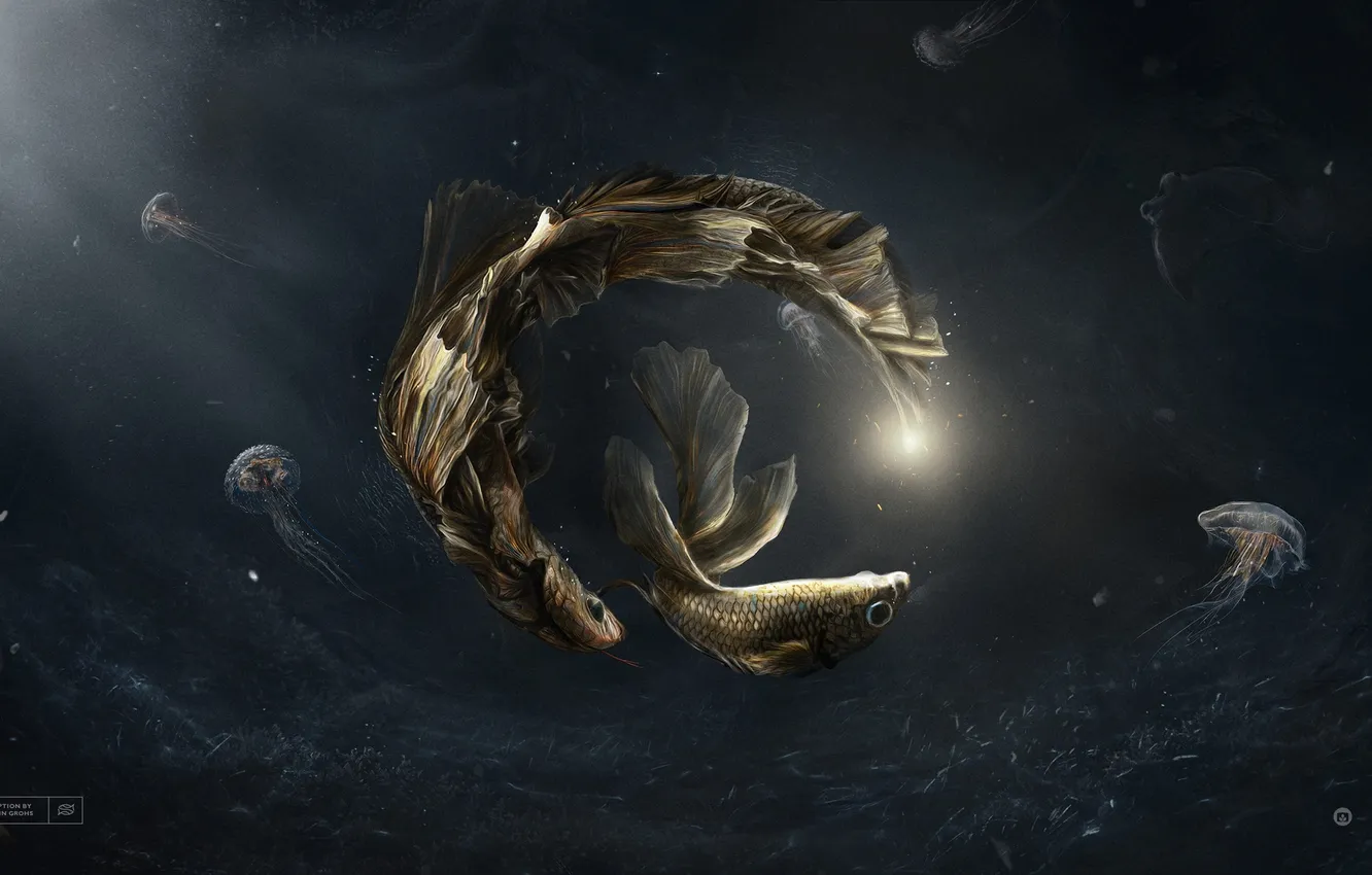 Photo wallpaper light, fish, jellyfish, art, grohsartig