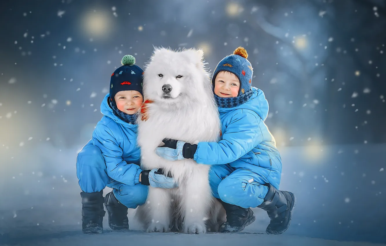 Photo wallpaper winter, snow, children, animal, dog, dog, Samoyed, Ksenia Lysenkova