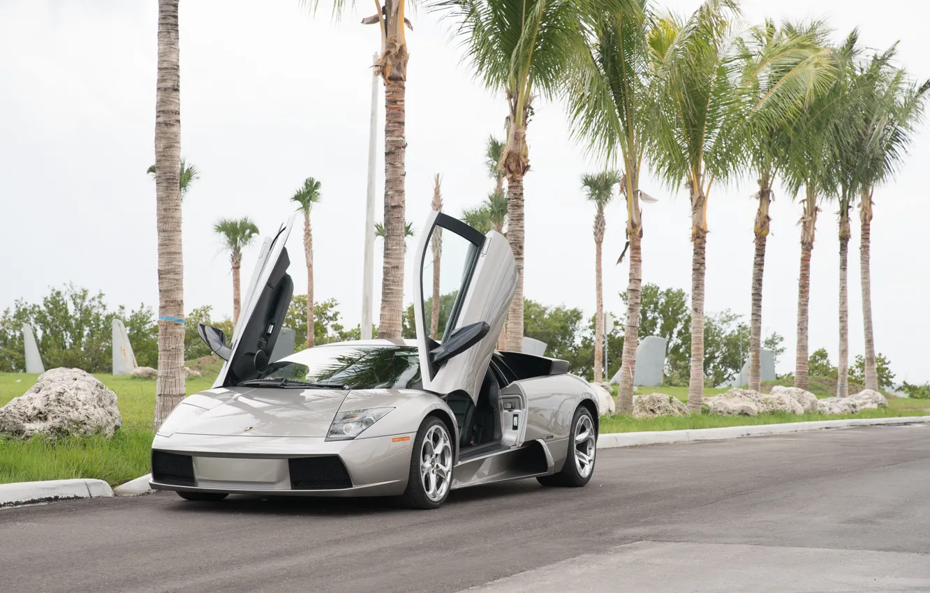 Photo wallpaper Lamborghini, supercar, Lamborghini Murcielago, Murcielago, lambo door