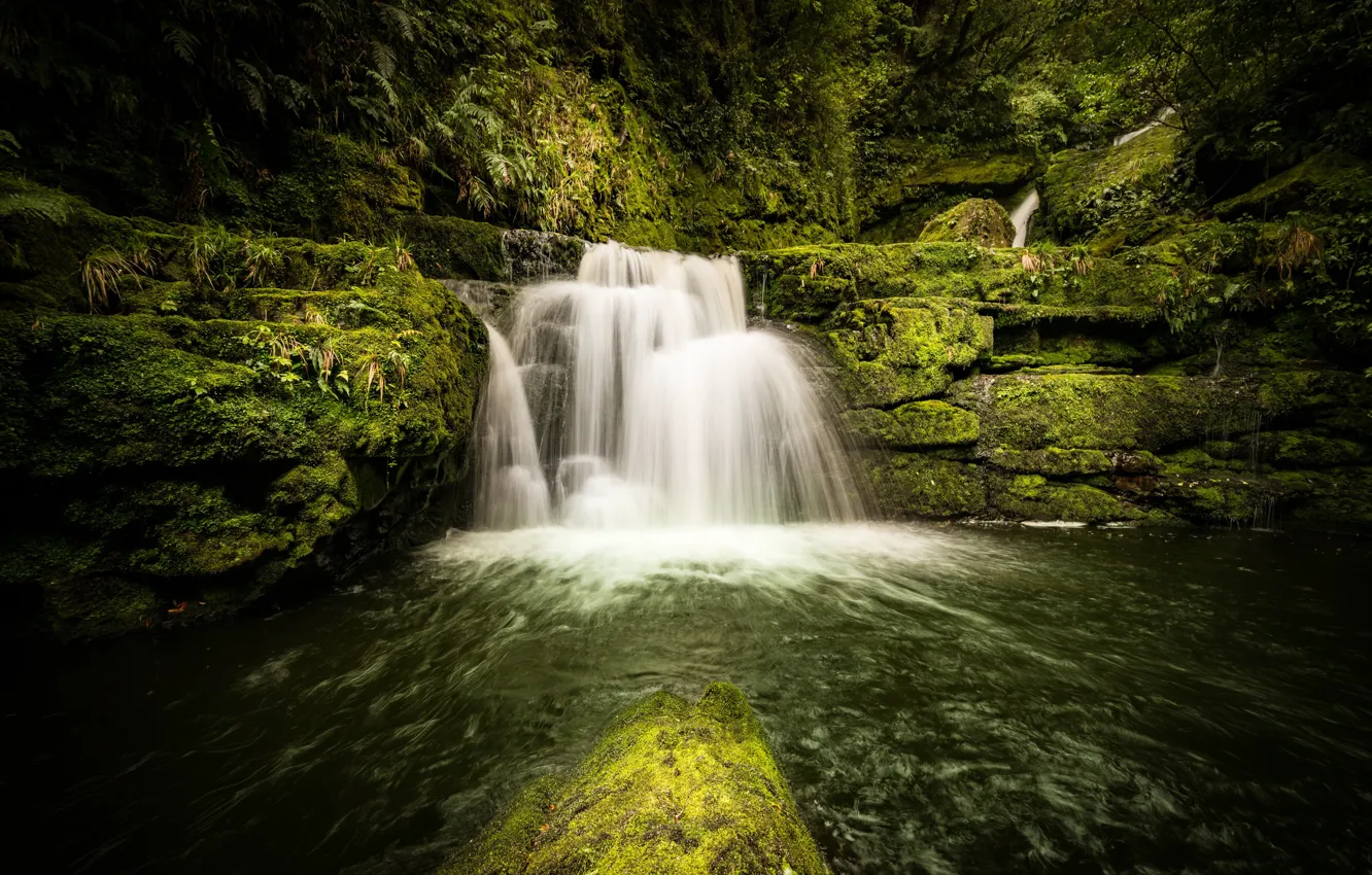 Photo wallpaper forest, river, stones, waterfall, moss, New Zealand, cascade, New Zealand