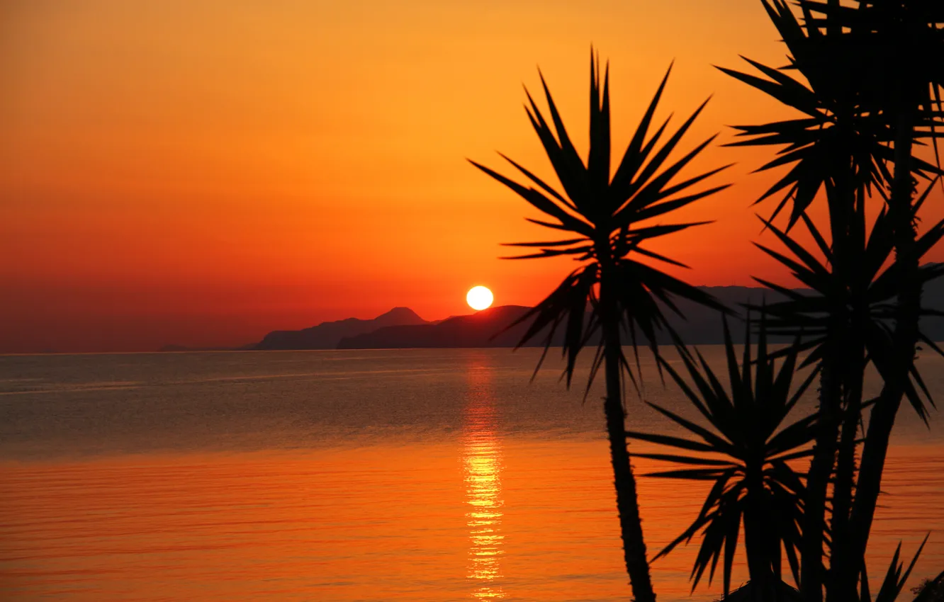 Photo wallpaper sea, sunset, mountains, palm trees
