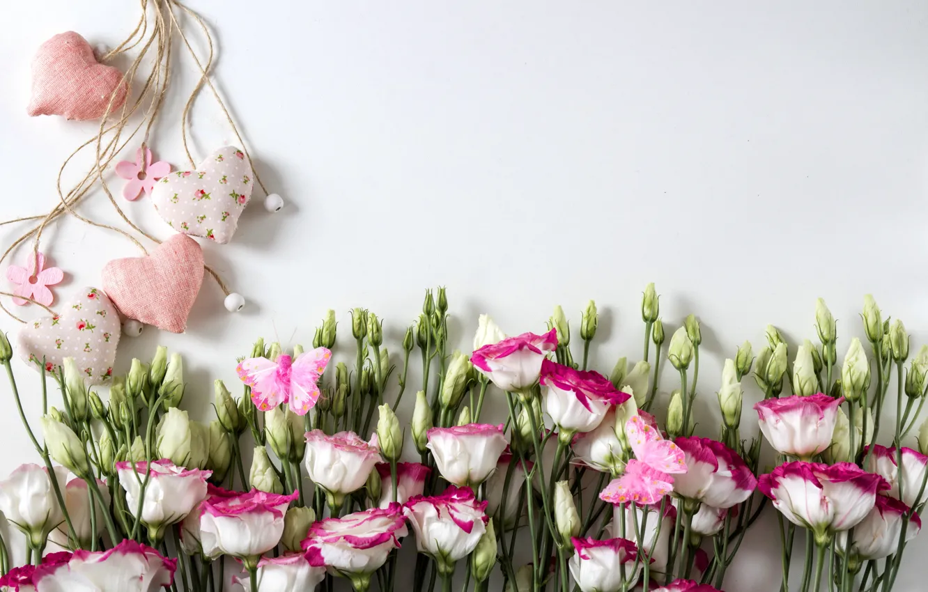 Photo wallpaper flowers, heart, pink, flowers, romantic, hearts, eustoma, eustoma