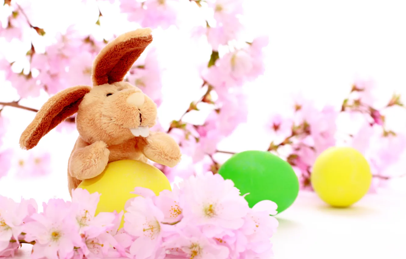 Photo wallpaper holiday, rabbit, Easter, colored eggs, cherry flowers